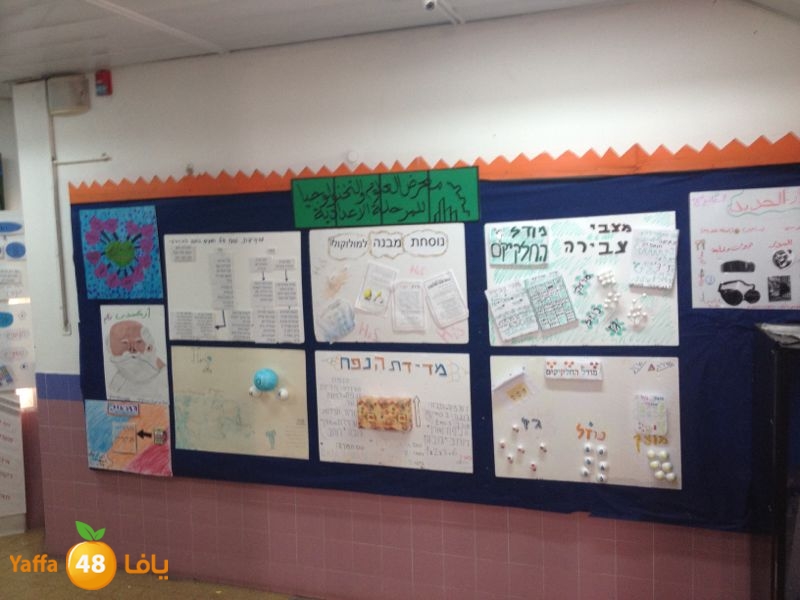 chemstery shamlea (14).jpg